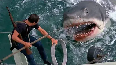Tiburón. Tiburón.