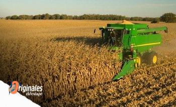 La guerra, un agronegocio que quedó en pocas manos en Argentina | Campo