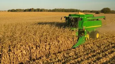 Dólar Agro: el cumplimiento de la medida llega a casi el 70% Dólar Agro: el cumplimiento de la medida llega a casi el 70%