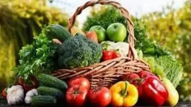 Alimentos transgénicos: qué son y cuáles son las pros y contras