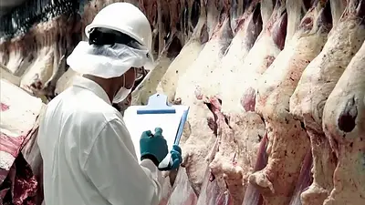 Campo: Agricultura suspendió a 12 exportadoras de carne por no liquidar divisas Campo: Agricultura suspendió a 12 exportadoras de carne por no liquidar divisas