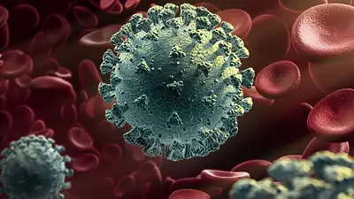 Encuentran el punto débil del COVID-19 que podría detener el virus Encuentran el punto débil del COVID-19 que podría detener el virus