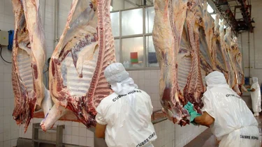 Carne a China: detalles del acuerdo con la Mesa de Enlace y lo que viene