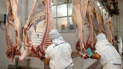 Concluye el cese de comercialización de carnes y mañana retoman abastecimiento Concluye el cese de comercialización de carnes y mañana retoman abastecimiento