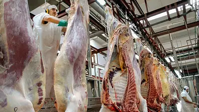 Ranking: los cortes de carne que más subieron en octubre Ranking: los cortes de carne que más subieron en octubre