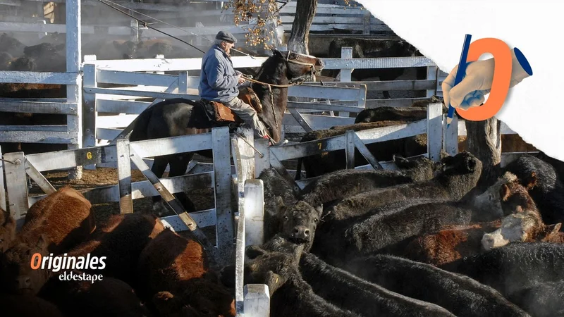 La desregulación macrista que empuja el precio de la carne