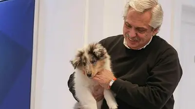 Se agranda la Casa Rosada: Alberto presentó a su nueva mascota Se agranda la Casa Rosada: Alberto presentó a su nueva mascota