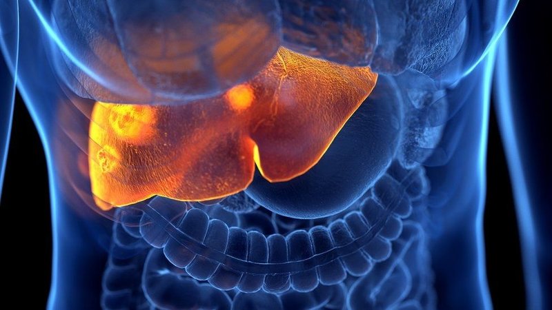 Una investigación de Lancet vincula la hepatitis grave con el Covid