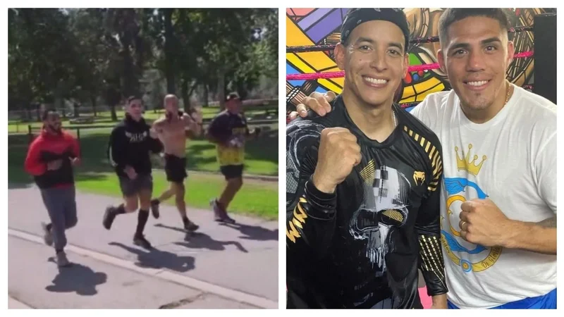 Brian Castaño Daddy Yankee Boxeo