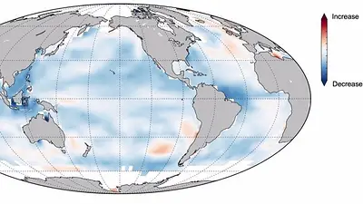 El calentamiento global provoca "amnesia" en los océanos El calentamiento global provoca "amnesia" en los océanos