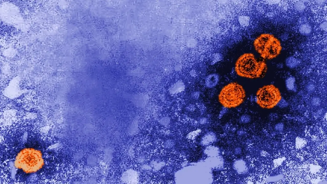 La OMS alertó sobre un brote mundial de hepatitis "de origen desconocido" en las infancias