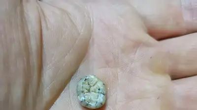Diente hallado en una cueva en Laos arroja luz sobre los enigmáticos denisovanos Diente hallado en una cueva en Laos arroja luz sobre los enigmáticos denisovanos