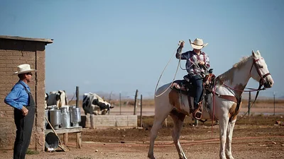 Una década de imágenes muestra tradiciones menonitas en México congeladas en el tiempo Una década de imágenes muestra tradiciones menonitas en México congeladas en el tiempo