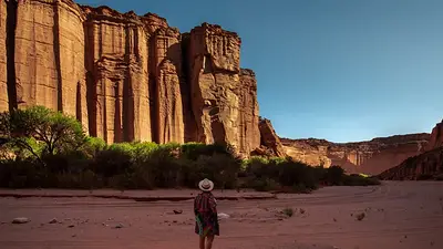 La Ruta Natural, una nueva web para conocer los mejores destinos de la Argentina La Ruta Natural, una nueva web para conocer los mejores destinos de la Argentina
