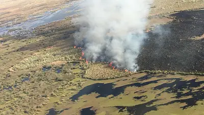 Alerta por nuevos incendios en las islas del delta del Río Paraná Alerta por nuevos incendios en las islas del delta del Río Paraná