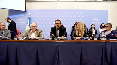 Boleta Única: el Gobierno rehazó el proyecto de la oposición y lo definió como “imprudente” Boleta Única: el Gobierno rehazó el proyecto de la oposición y lo definió como “imprudente”