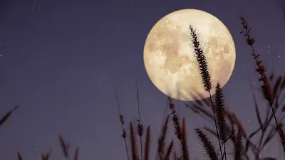 Eventos y fenómenos astronómicos mayo 2023: todo lo que va a suceder este mes Eventos y fenómenos astronómicos mayo 2023: todo lo que va a suceder este mes