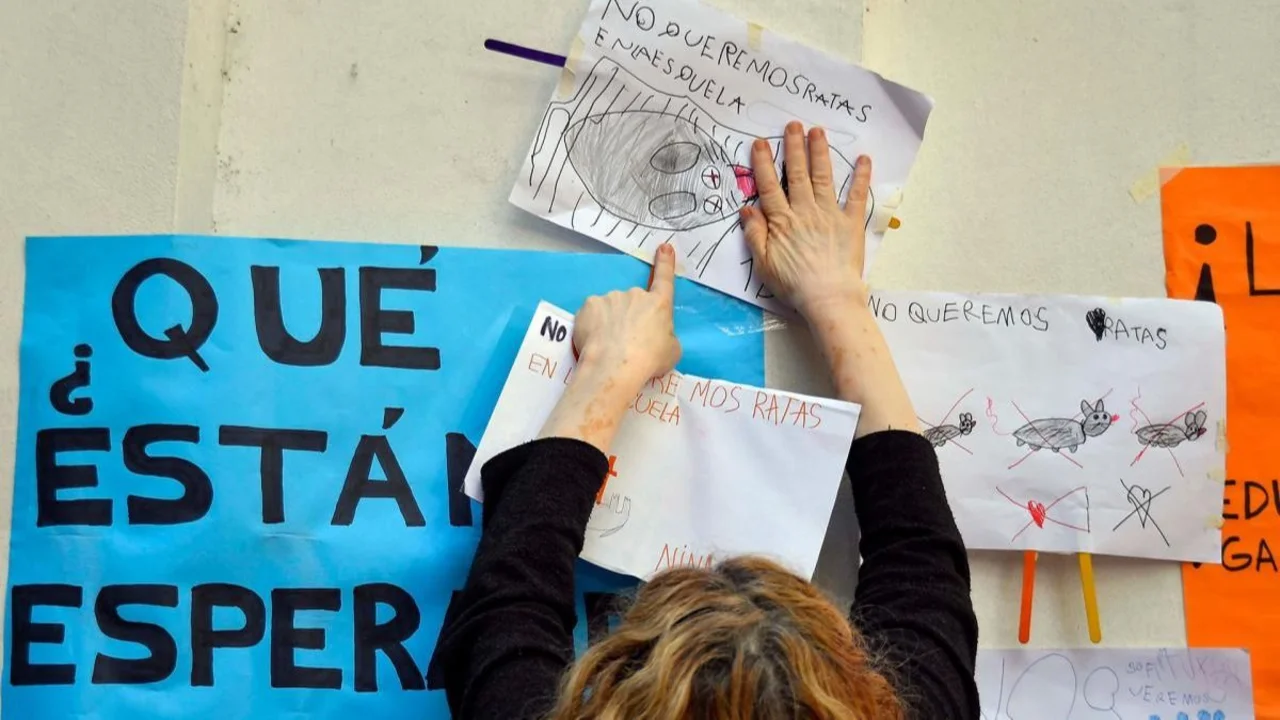 Escuela en Flores: alumnos y docentes protestan por nueva aparición de ratas "gigantes"