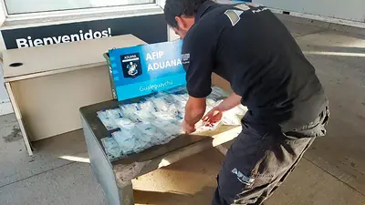 La Aduana desbarató el intento de tráfico de un insólito producto: cuál fue La Aduana desbarató el intento de tráfico de un insólito producto: cuál fue