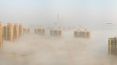 “La contaminación del aire causa siete millones de muertes prematuras por año”