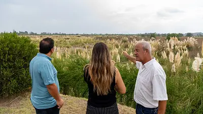 Galmarini frenó la construcción de una Alcaldía en un humedal de Tigre Galmarini frenó la construcción de una Alcaldía en un humedal de Tigre