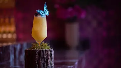 Cocktails. Tragos Cocktails. Tragos
