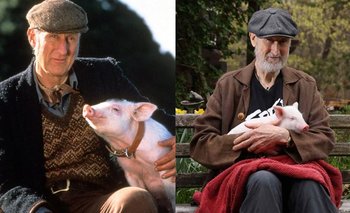 Del cine a la vida real: la increíble hazaña de James Cromwell con un cerdo | Cine