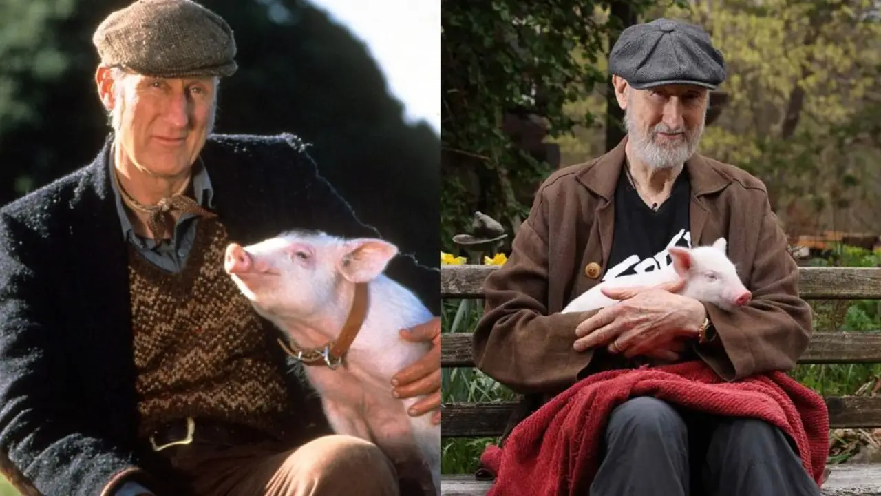 Babe. James Cromwell