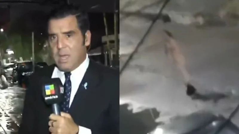 Mujer con cuchillo en Lanús. Móvil en vivo de América TV
