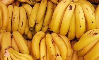 Encontraron más de 100 kilos de cocaína ocultos entre bananas | Narcotráfico