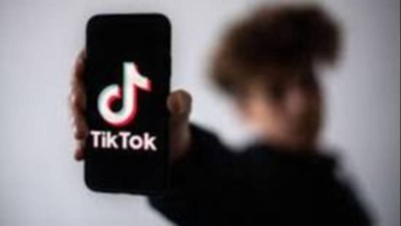 Cómo ganar en dólares como observador profesional de TikTok.