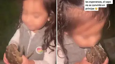 Una niña besó a un sapo y esperó a que se convierta en un príncipe: el video se hizo viral en TikTok Una niña besó a un sapo y esperó a que se convierta en un príncipe: el video se hizo viral en TikTok
