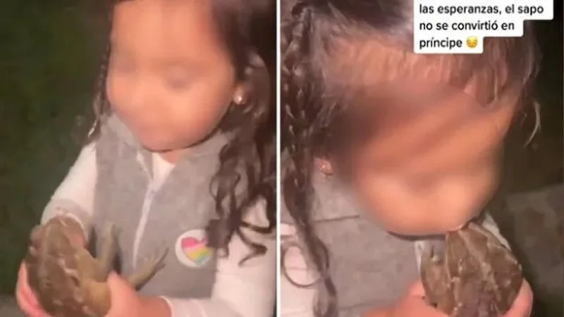 Una niña besó a un sapo y esperó a que se convierta en un príncipe: el video se hizo viral en TikTok
