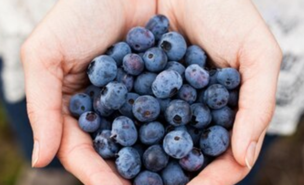 Estos son los alimentos que tienen 20 veces más antioxidantes que la ...
