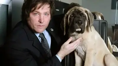 Qué pasó con el perro del presidente Javier Milei Qué pasó con el perro del presidente Javier Milei