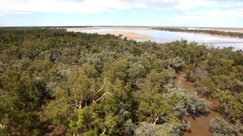 La oficina meteorológica australiana ve un 50% de probabilidades de La Niña este año
