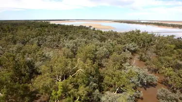 La oficina meteorológica australiana ve un 50% de probabilidades de La Niña este año