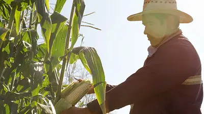 Crecida del río Pilcomayo: destacan la asistencia del Gobierno de Formosa a los productores rurales afectados Crecida del río Pilcomayo: destacan la asistencia del Gobierno de Formosa a los productores rurales afectados