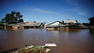 En Brasil, un agricultor destrozado por las inundaciones llora la pérdida de sus animales y sueños