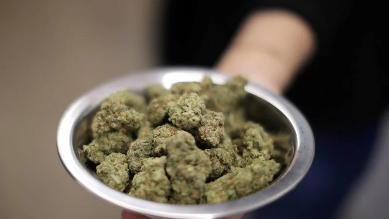 EEUU presenta propuesta para reducir las restricciones a la marihuana