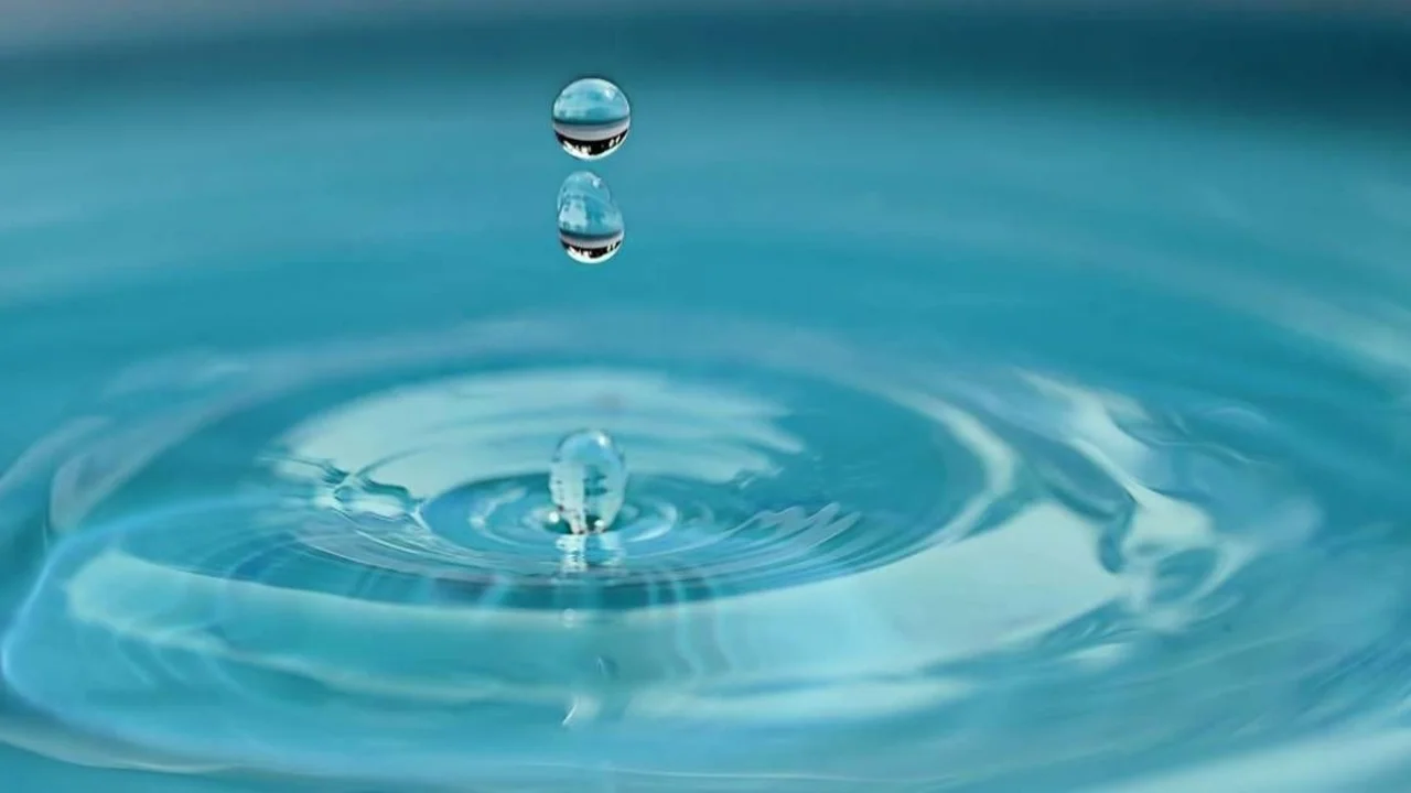  Los signos de agua y su compatibilidad: cuáles son y con quiénes se llevan mejor.