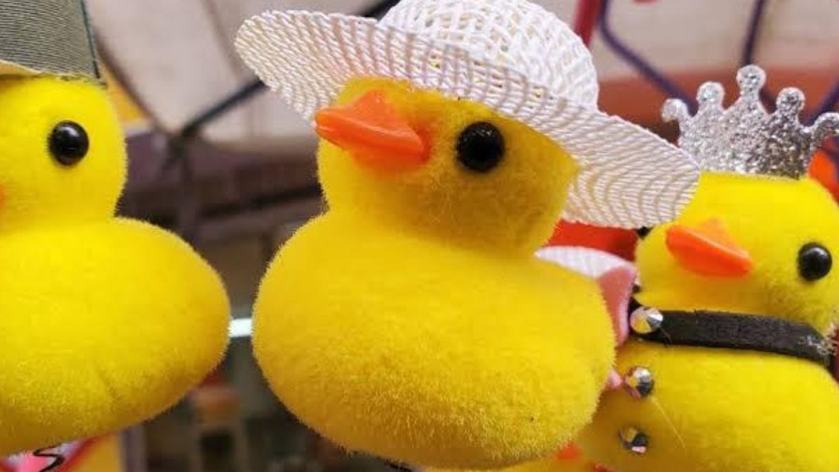 Por qué la gente se pone patitos en la cabeza: la moda que es furor | El  Destape