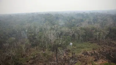 Incendios en Amazonia brasileña comienzan 2024 en niveles récord, en medio de recortes de presupuesto Incendios en Amazonia brasileña comienzan 2024 en niveles récord, en medio de recortes de presupuesto