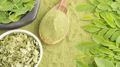 Moringa Moringa