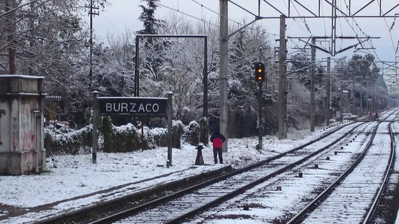 Estación Burzaco nieve.