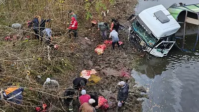 Cayó un camión de terneros al río y personas se metieron para faenar los animales Cayó un camión de terneros al río y personas se metieron para faenar los animales
