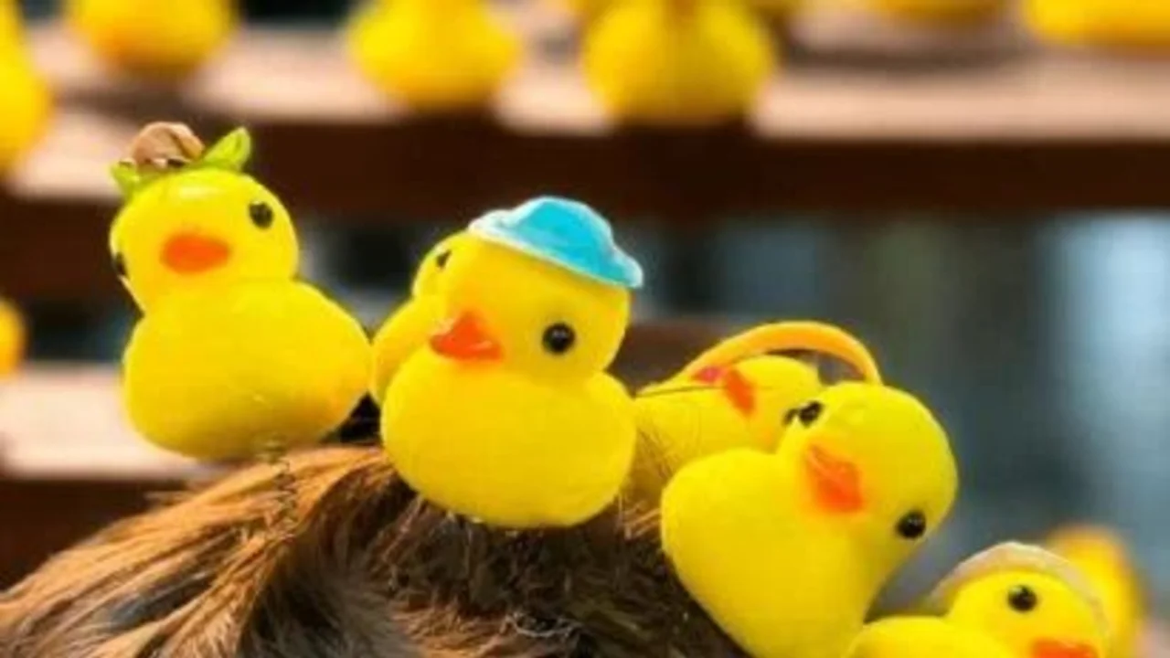 Patitos Kawaii