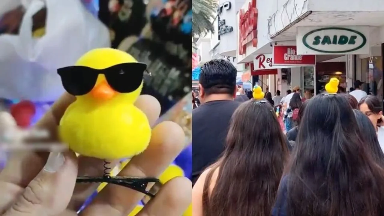 Patitos Kawaii en la cabeza