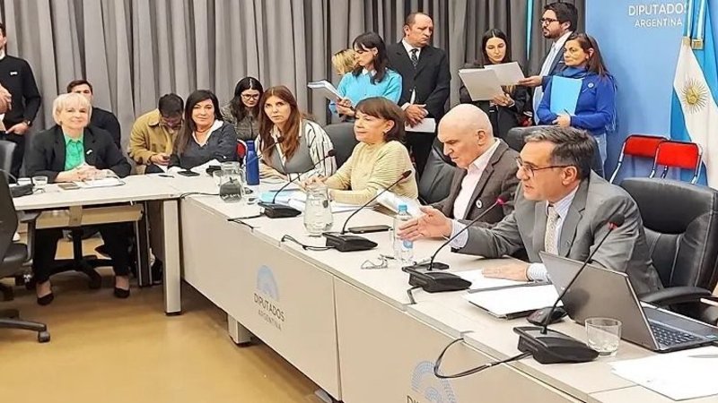 La alianza de la UCR en Diputados y las tensiones opositoras por la ley Bases en Senado
