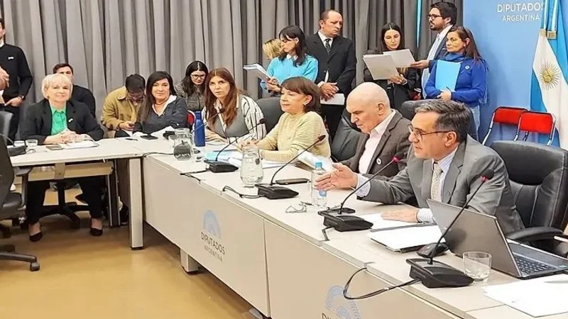 La alianza de la UCR en Diputados y las tensiones opositoras por la ley Bases en Senado